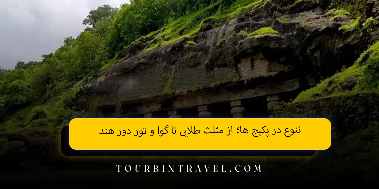 تنوع در پکیج ها؛ از مثلث طلایی تا گوا و تور دور هند